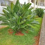 Falesia Apartment - Reis Magos Beach