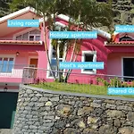 Pink House
