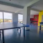 Panorama Apartment