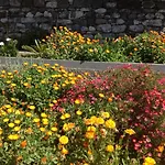 Villa Girasol