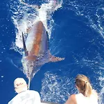Abrigo Da Madeira