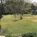 Villa C/ Piscina Proxima Da Praia