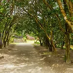 Casa Dos Barcos Furnas
