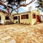 Beach Tree House