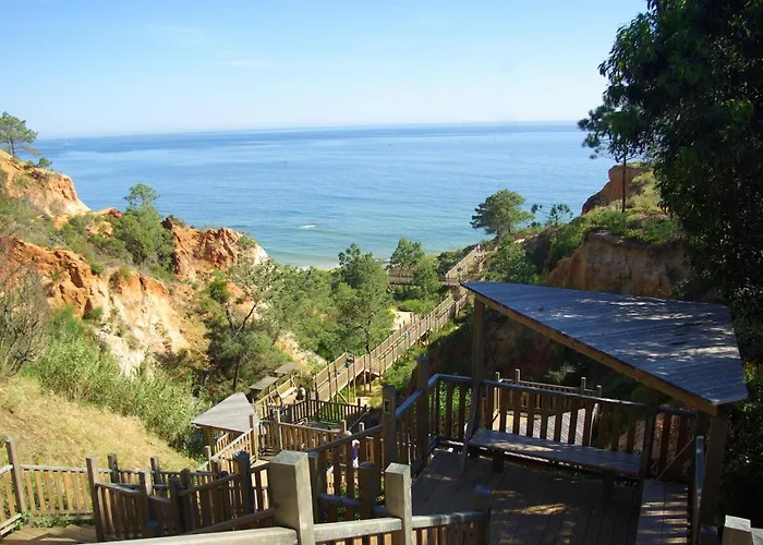 Charming Apartment With Shared Pool In Albufeira 60 M²