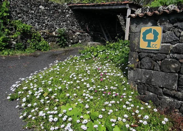 Casa Da Adega