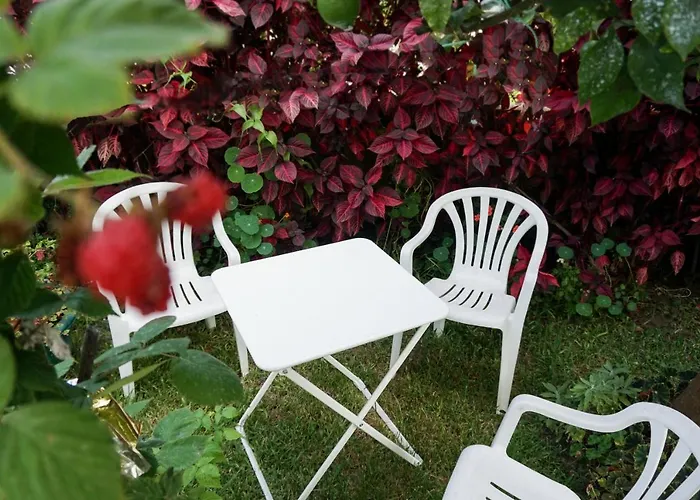 Jardim Da Celeste