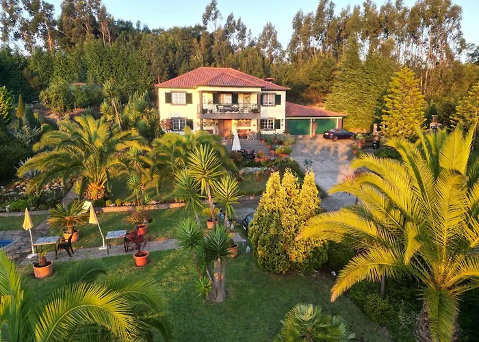 Homeoffice Madeira - Coliving & Coworking With A Nice Community