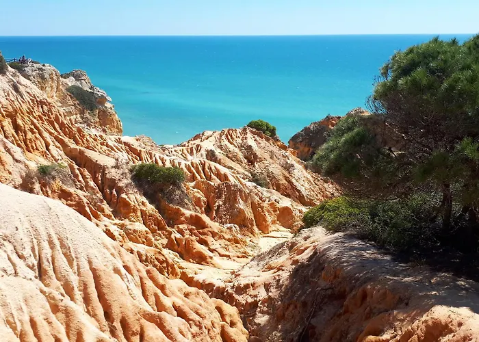 Amelia - Always Algarve