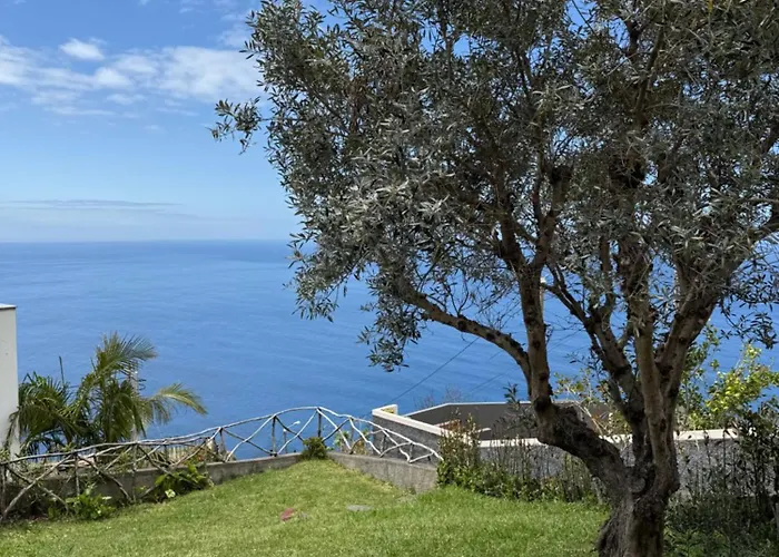 Cozy Sea View House Fajã da Ovelha