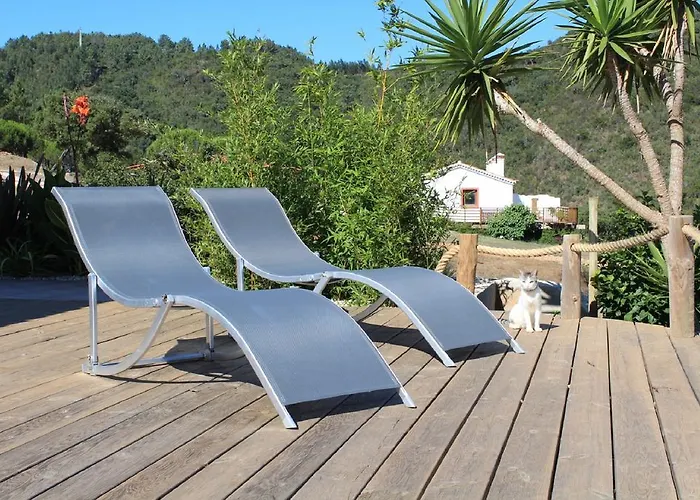 Vida Pura Guesthouse