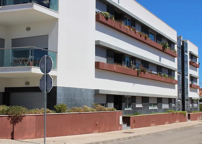 Modern 1 Bedrom Apartment