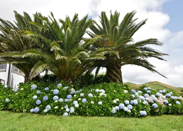 Villa Flor Do Monte