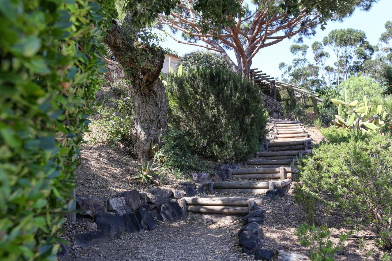 Guest house Monte Da Vilarinha 3*