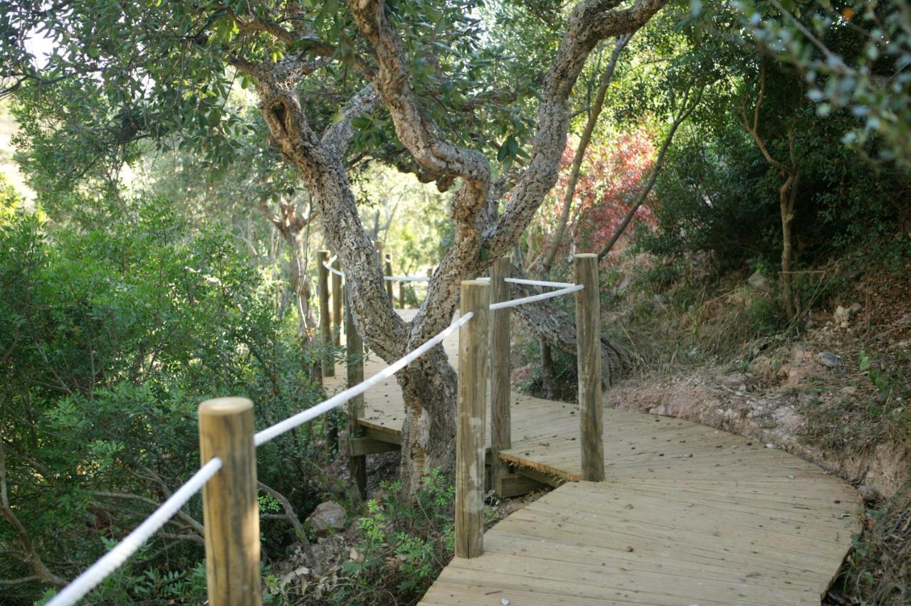 Guest house Monte Da Vilarinha 3*