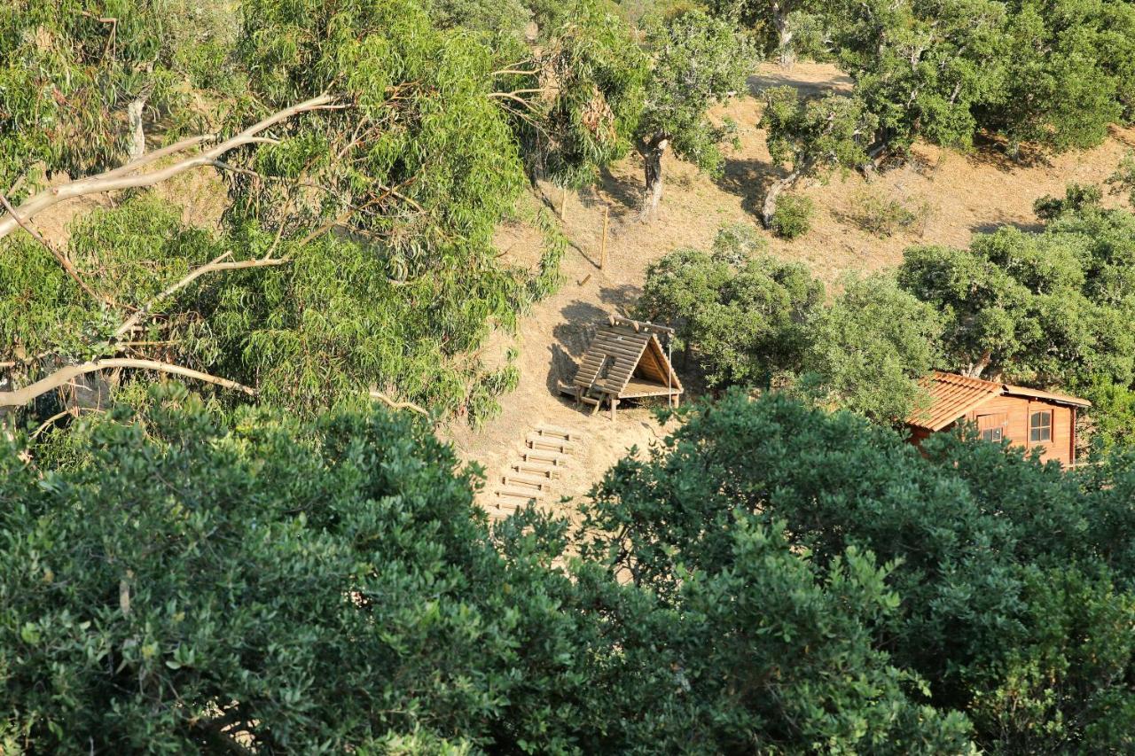 Monte Da Vilarinha 3* Carrapateira