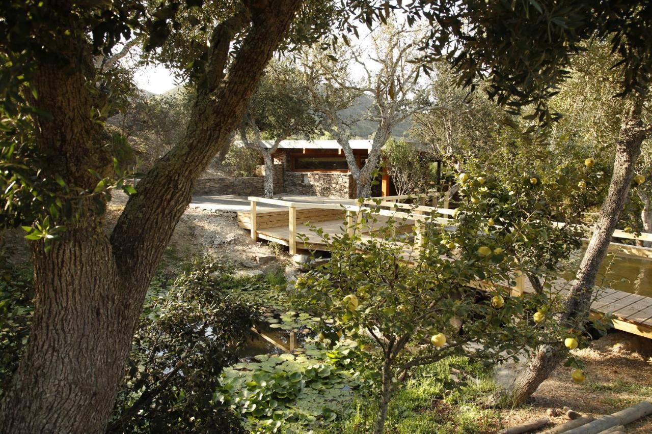 Monte Da Vilarinha Guest house