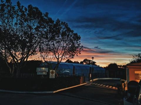 Campsite Park Zambujeira do Mar