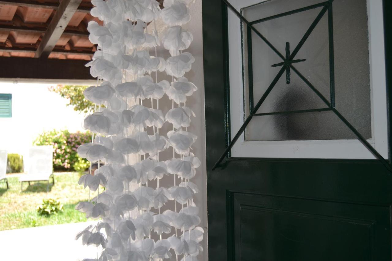 Petunia - Guest house Cascais
