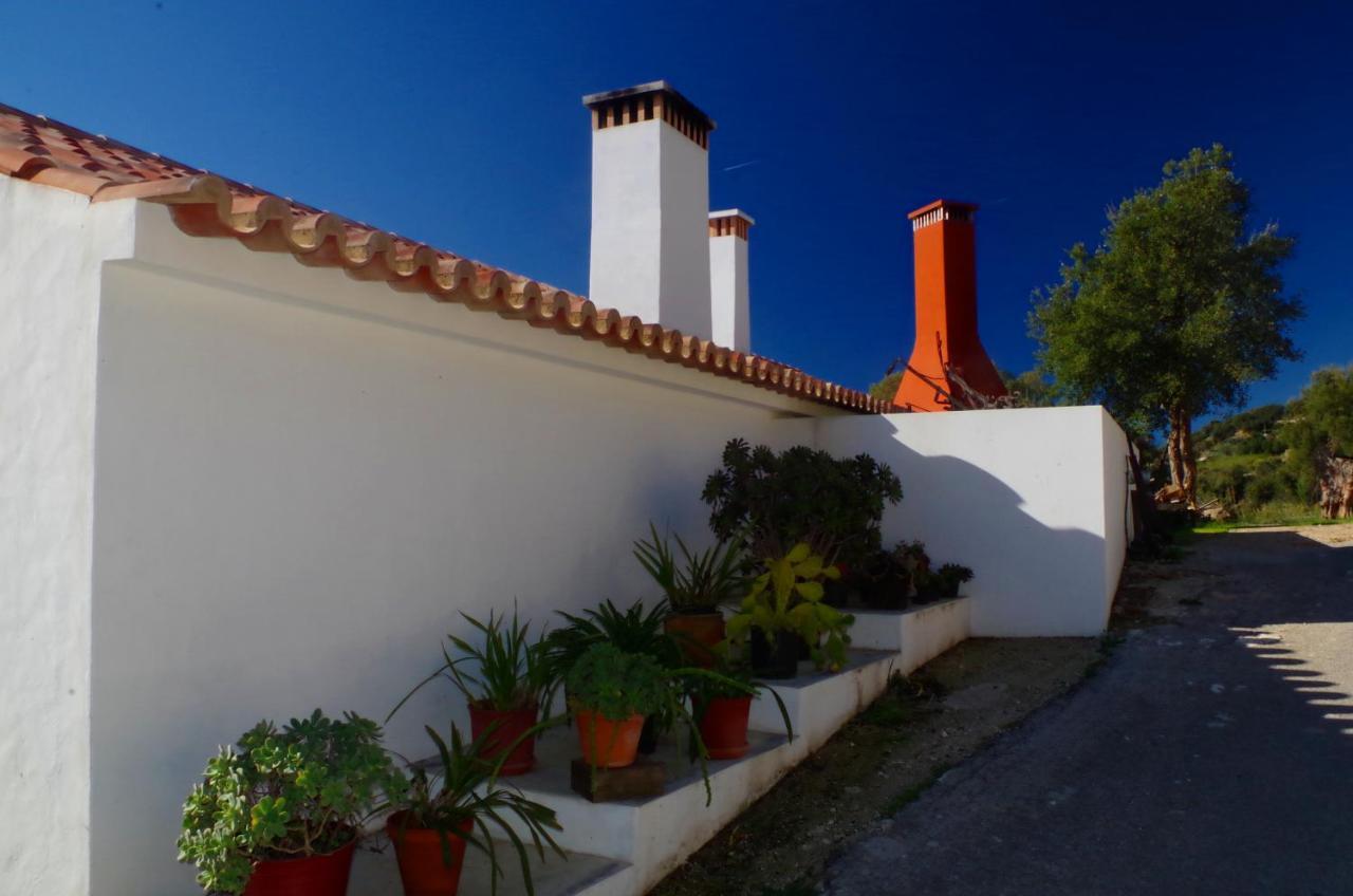 Vinha Do Gaio Farm stay Montes de Cima