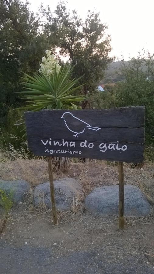 Farm stay Vinha Do Gaio *