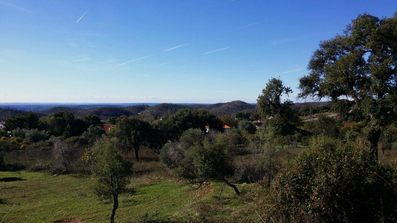 Vinha Do Gaio Farm stay Montes de Cima