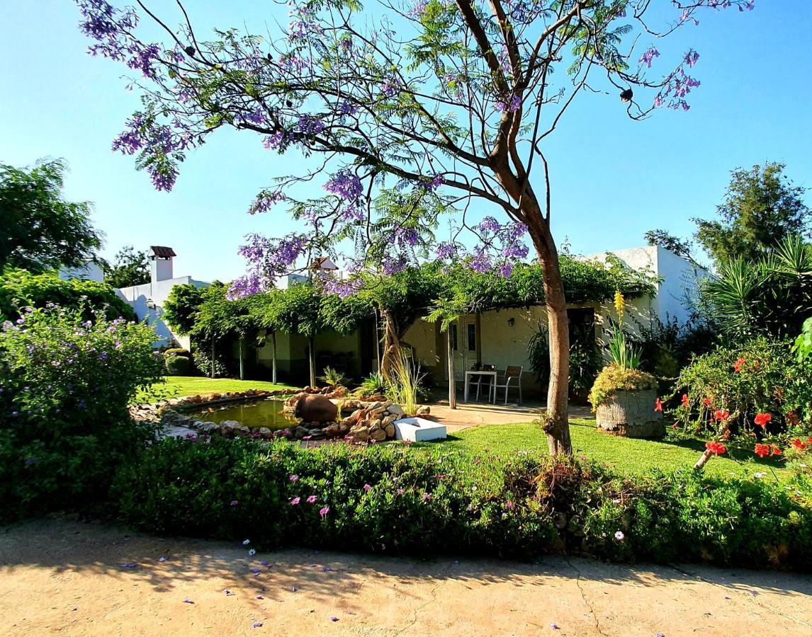 Casa Do Alto Bed & Breakfast