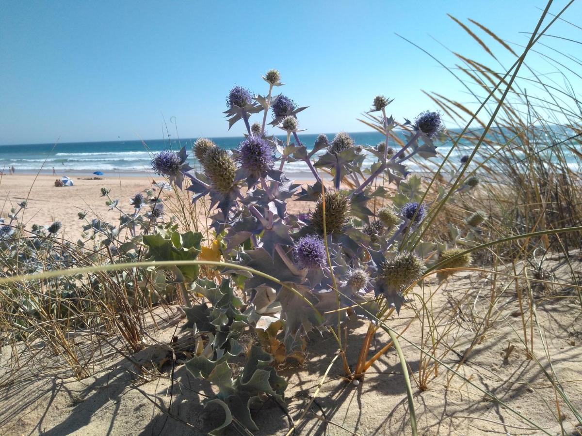 Caparica For Rent Apartamento