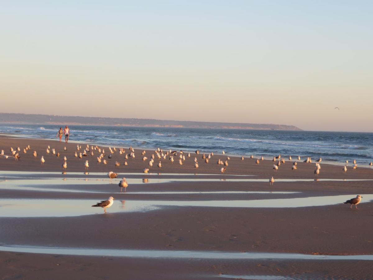 Apartamento Caparica For Rent Costa da Caparica