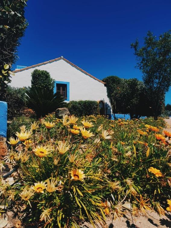 Country house Quinta Do Sardanito De Tras *