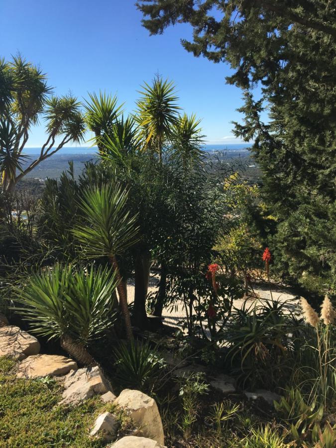 Felicidade Bed & Breakfast Loule