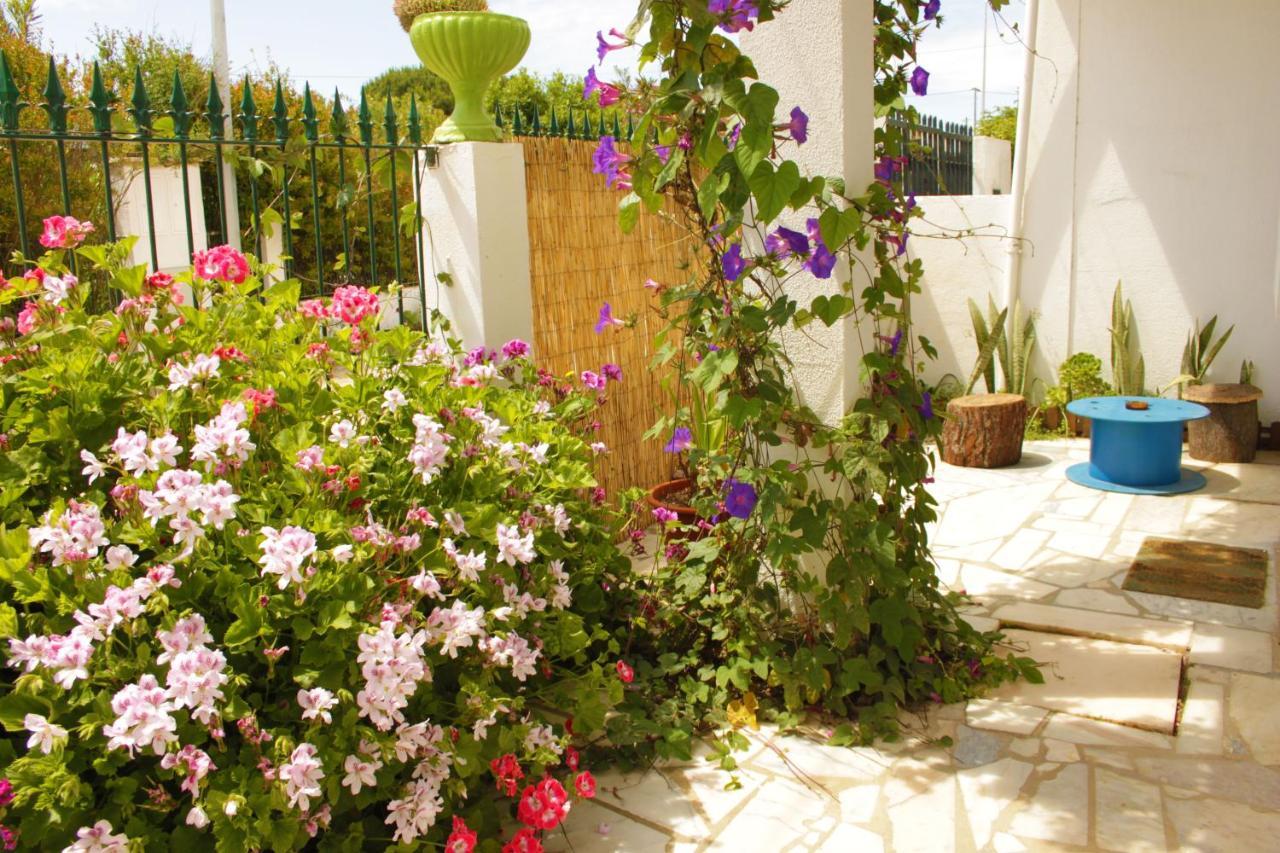 Albergue Natural Mystic *