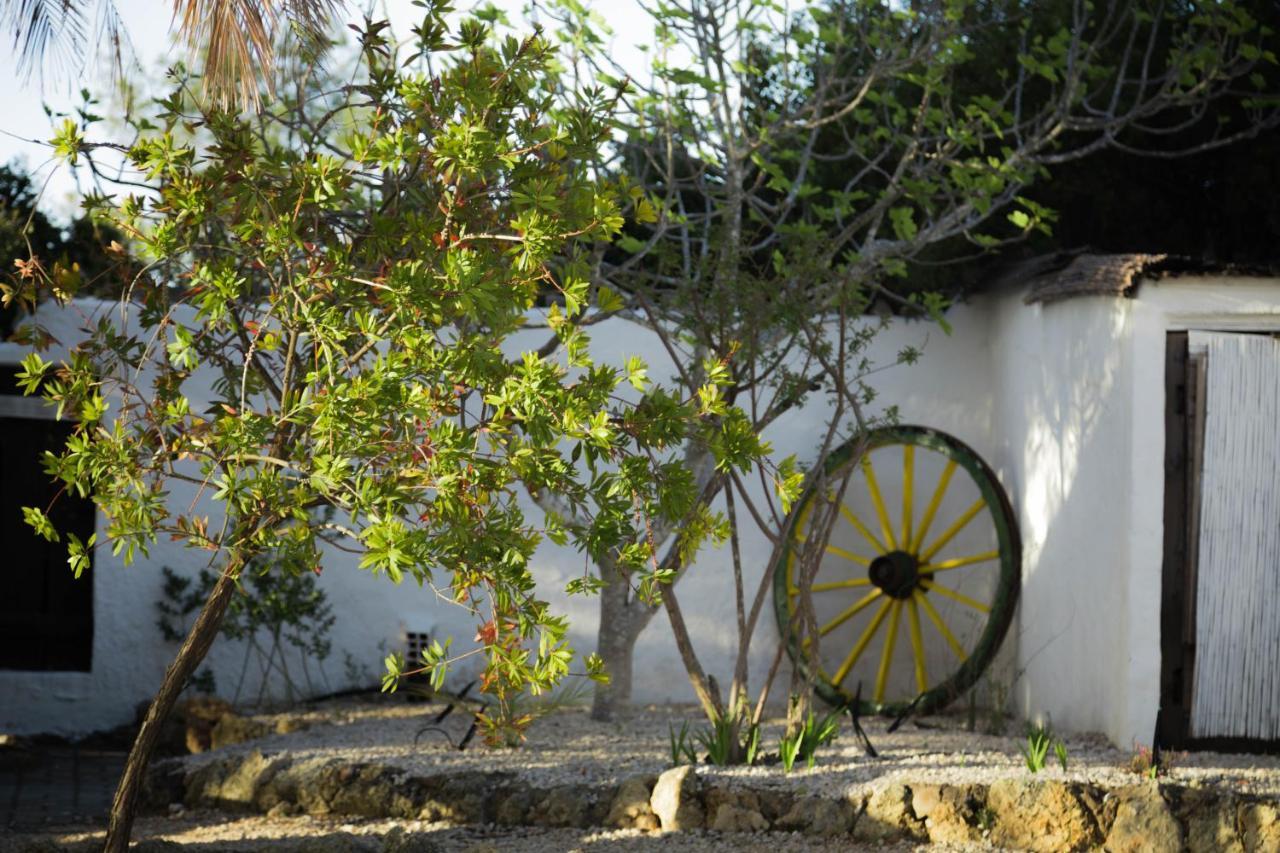Horizonte Bed & Breakfast Carvoeiro (Lagoa)