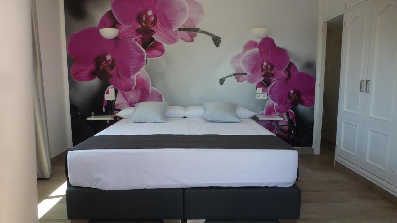 Guest house L'estaque *