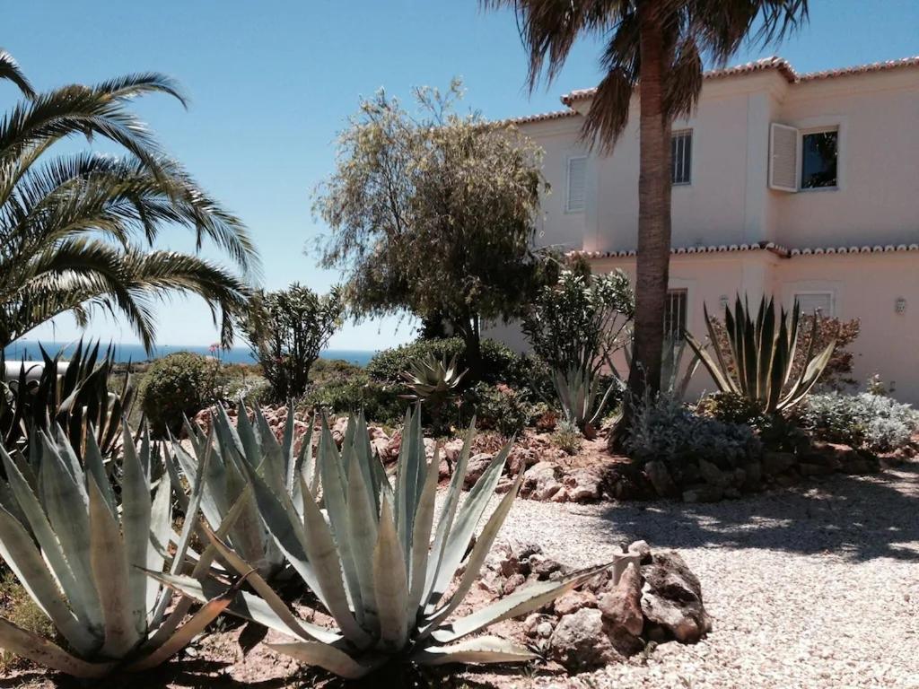 With Beautiful Views & Spacious Garden