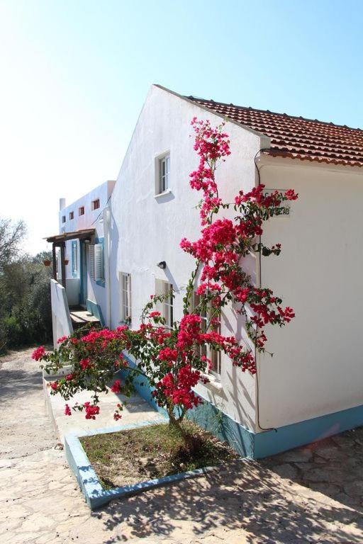 Casa Do Avo Teixeira Holiday home Sesimbra
