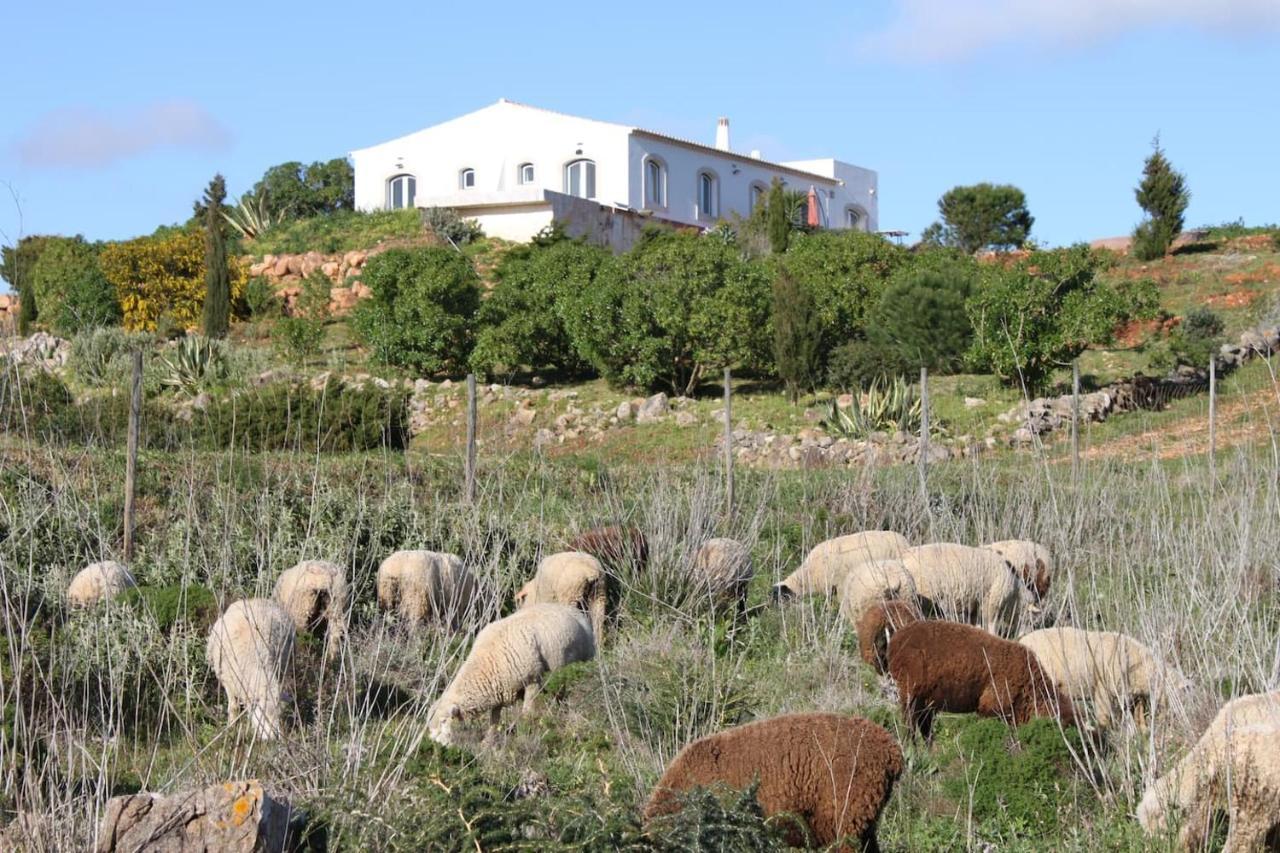 Holiday home Casa Furnas - Eco