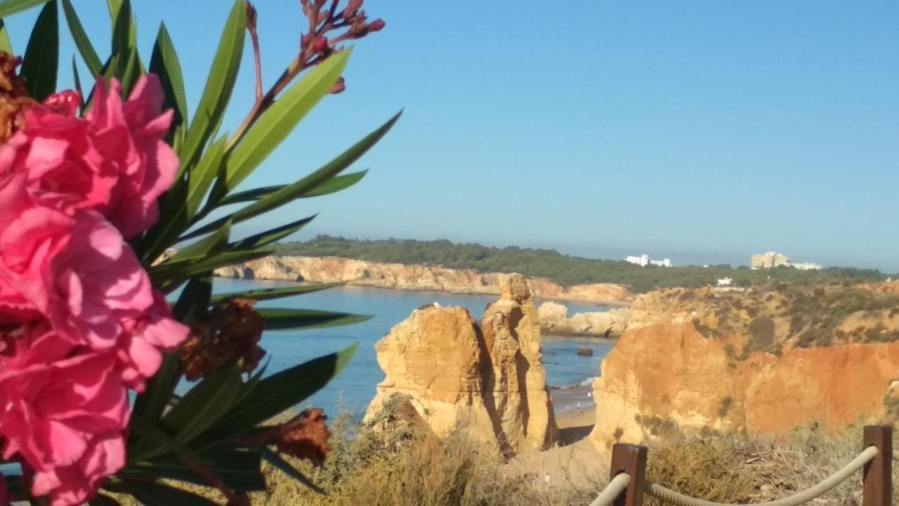 Albur Village B - Hyacinth Apartamento