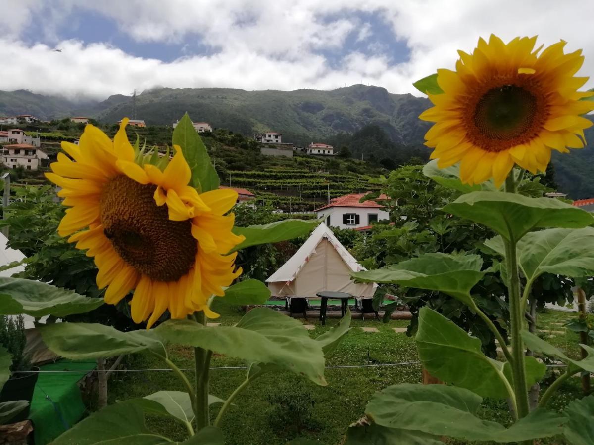 Granny's Farm