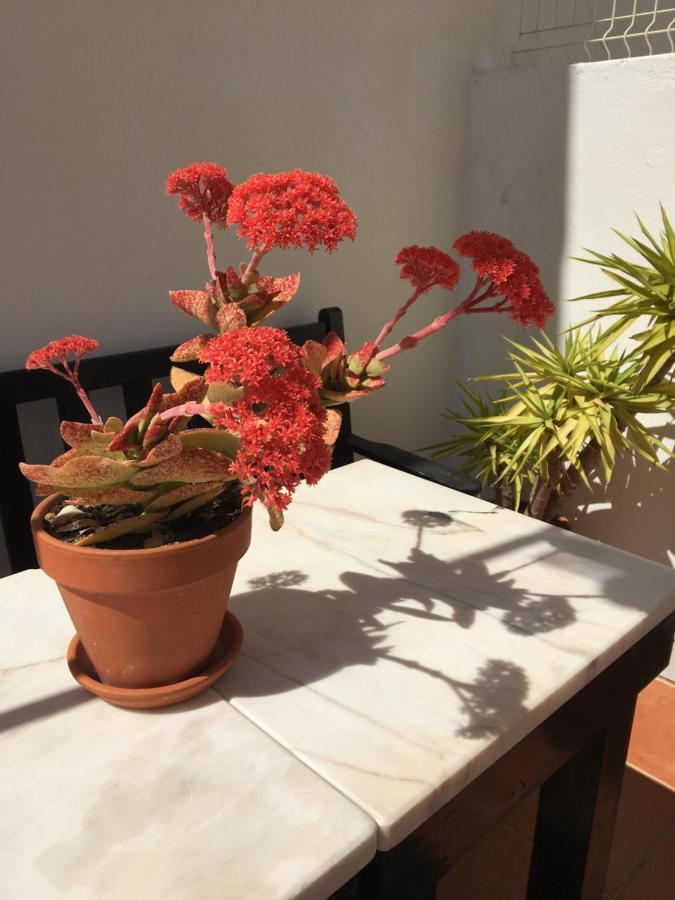 Your Vintage Townhouse Vakantiehuis Lagos