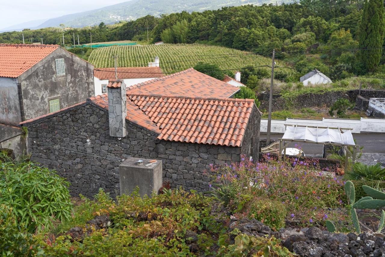 Guest house 4 Seasons Sao Roque do Pico