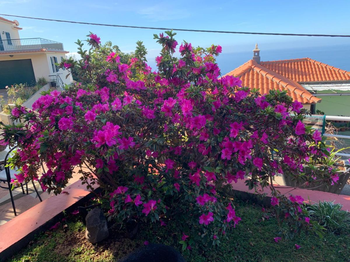 Ponta Do Sol
