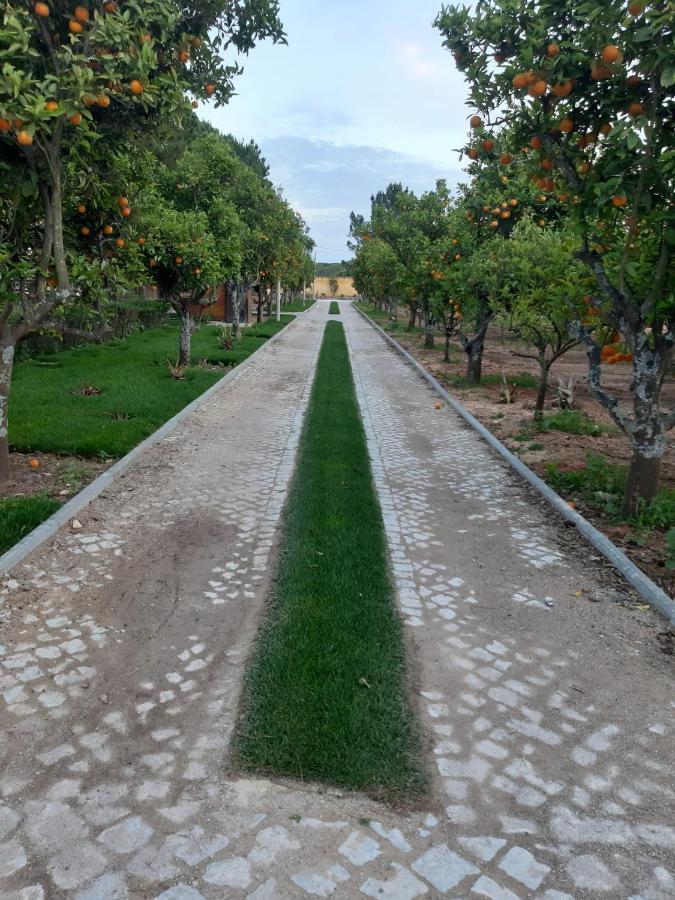 Holiday home Quinta - Limao