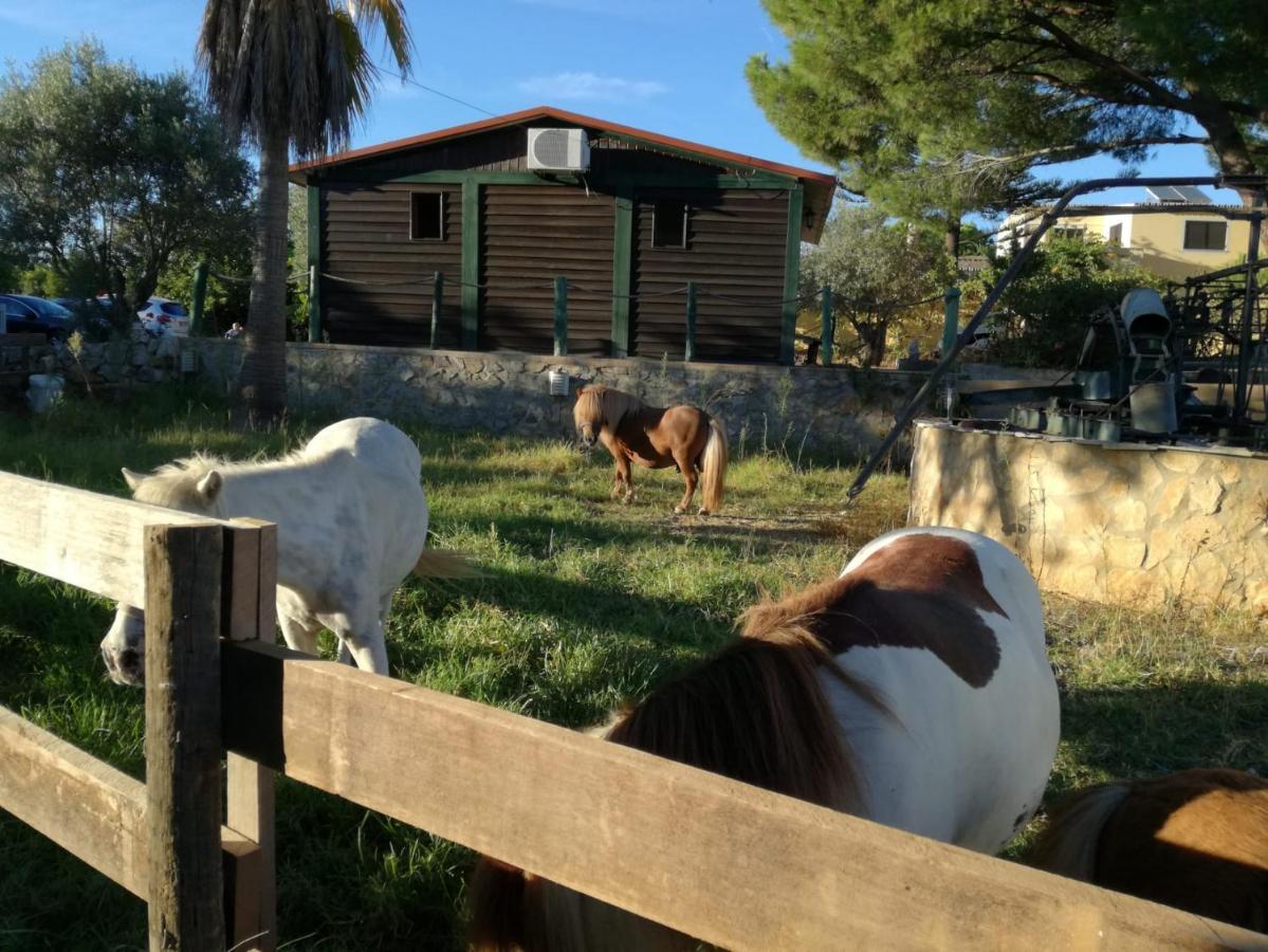 Holiday home Quinta - Limao