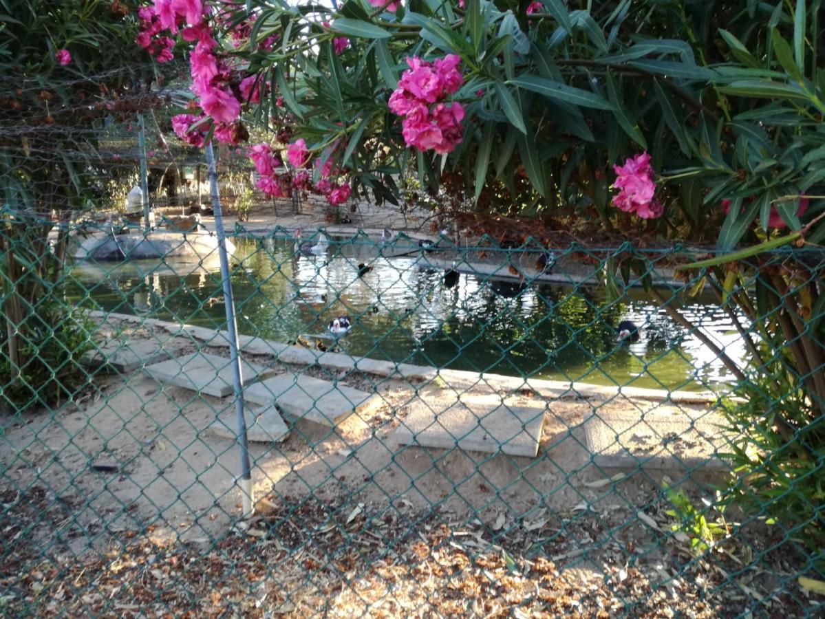 Holiday home Quinta - Limao *