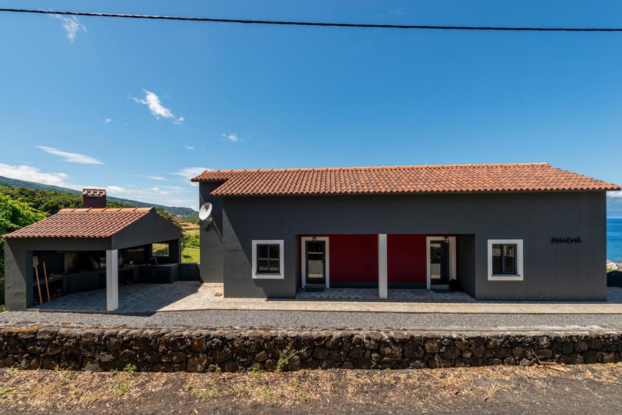 Rosa Cha * Santo Amaro (Azores)