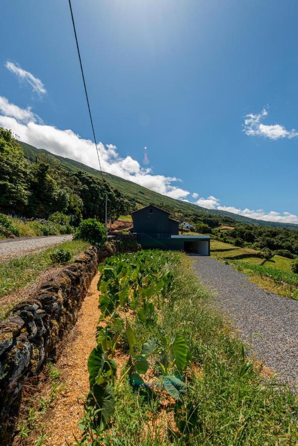 Rosa Cha Holiday home