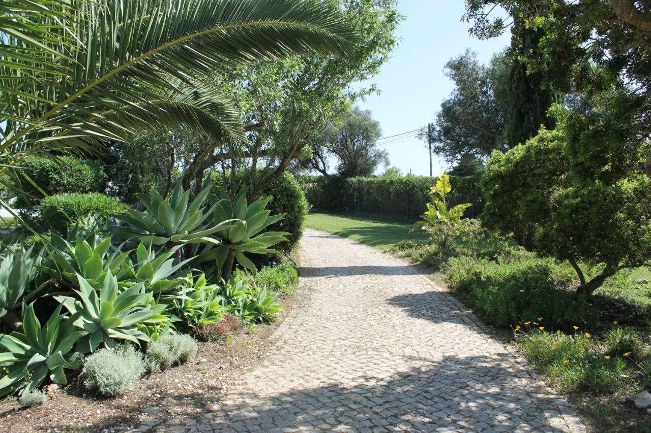 Casa Beachcomber Le Jardin Des Arts Apartment Lagos