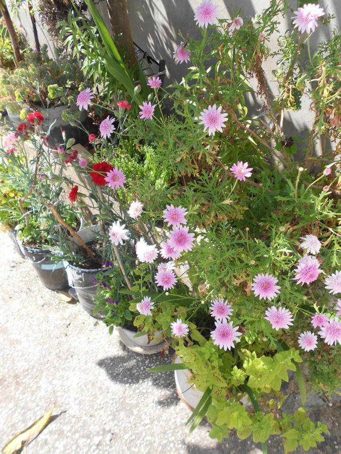 Holiday home Moradias Ode Odeceixe
