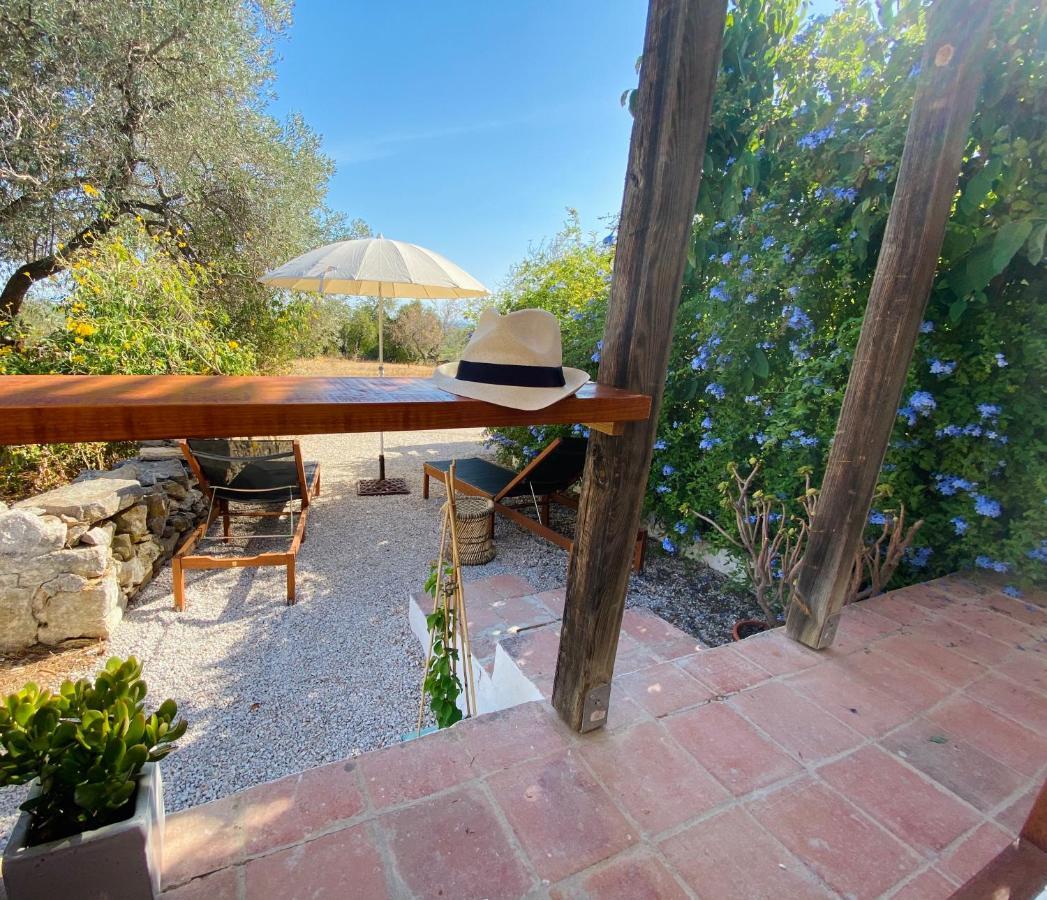 Casa Querida Holiday home Tavira